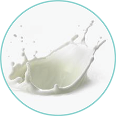 milk milk